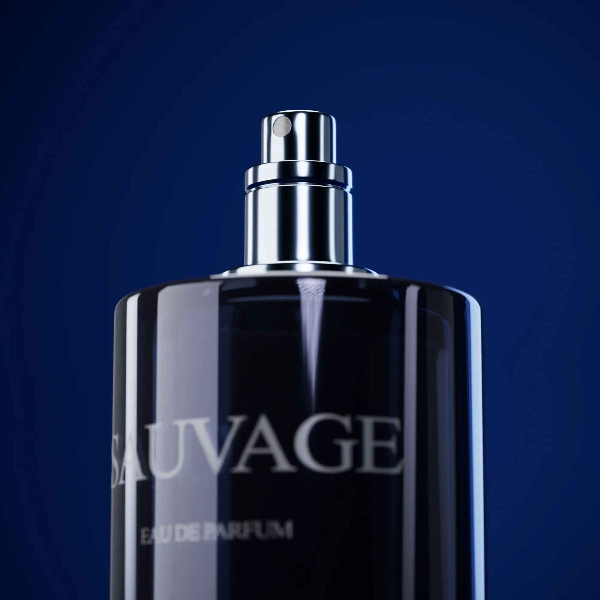 Dior Sauvage · Eau de Parfum, visuel 4